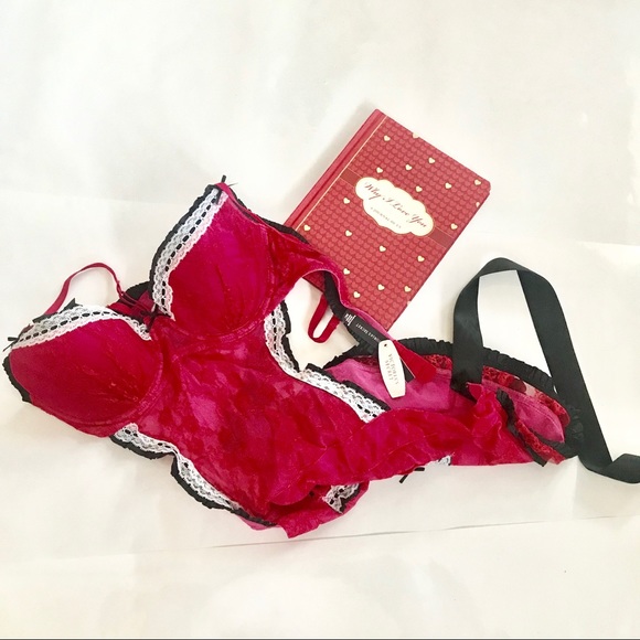 VS | Teddy - Picture 8 of 8